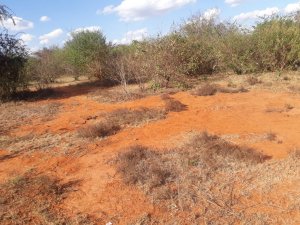 Land for Sale in Machakos