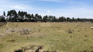 LAND FOR SALE ELDORET 1