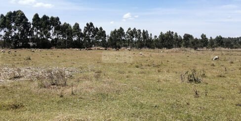 LAND FOR SALE ELDORET 1 488x326 1