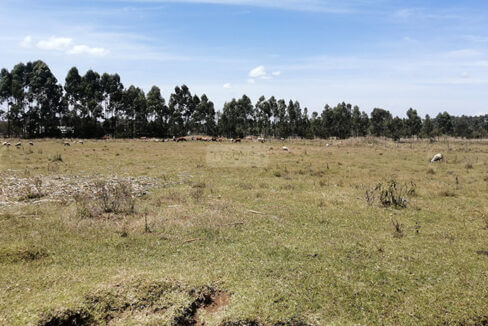 LAND FOR SALE ELDORET 1 488x326 1