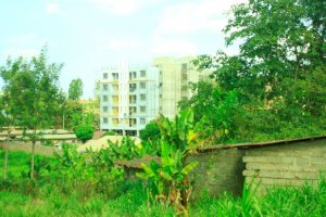 Ndumberi Plots for Sale