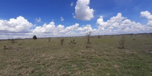 Kangundo Road Plots