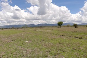 Mkaazi koma hills plots 2 6967593 1170x785 1