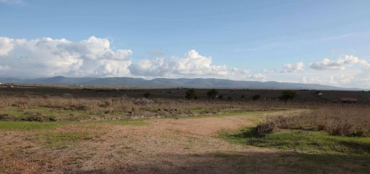 Land for Sale in Longonot Kenya