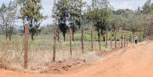Land for Sale in Tumaini Kenya