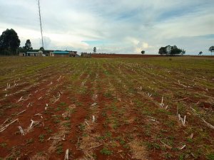 Agricultural Land for Sale in Eldoret