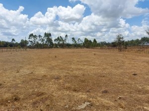 Plots for Sale in Kuinet Eldoret