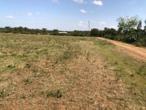 at5gw prime plot for sale in nanyuki