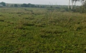 awtqf land for sale in naivasha