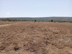 cnct2 plots for sale in athi river