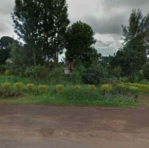 Plots for Sale in Zambezi Kikuyu