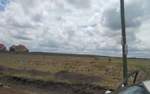 Plots for Sale in Kisii Estate Thika