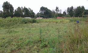 land for sale in Wangige