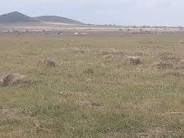 Agricultural Land for Sale in Narok