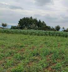 land for sale in Kayole Naivasha