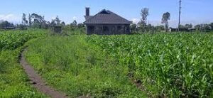 Plots for Sale in Maili Sita Nakuru