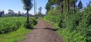 Plots for Sale in Maili Sita Nakuru