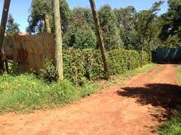 Plots for Sale in Ndeiya Limuru