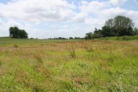 Plots for Sale in Machakos Junction