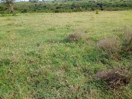 Kipeto Land for Sale