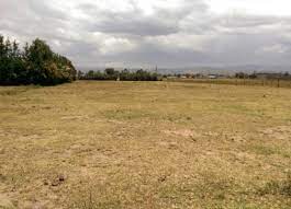 Nanyuki Town Plots for Sale