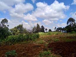 Agricultural Land for Sale in Rironi Limuru