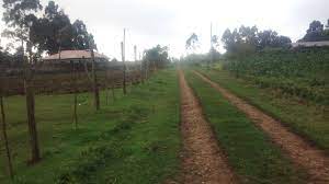 Land for Sale in Kamandura Limuru