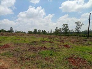 eight and quatre acre land for sale in ruiru north of tatu city c47ue