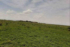 f7vv6 naivasha mai mahiu suswa sgr commercial land for sale