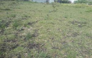 Plots for Sale in Kiserian Ngong