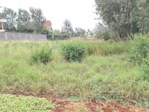 half acre plots for sale along kiambu road mushroom gardens qrnta