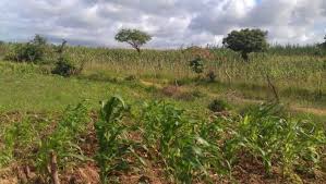 Kibwezi Land for Sale