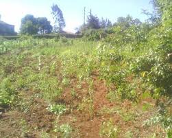 Land for Sale in Ondiri Kikuyu