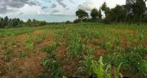 Land for Sale in Mairo Inya Nyahururu