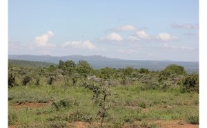 Ranch for Sale in Nanyuki