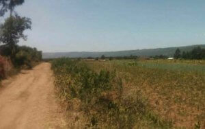 kptzi land for sale in naivasha