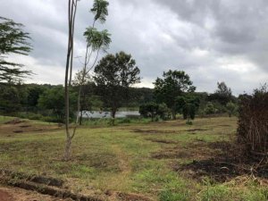 Plots for Sale in Njathaini Road