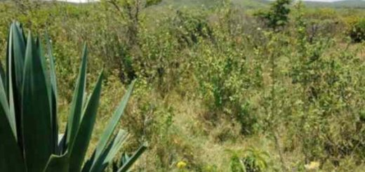 land for sale in gilgil nakuru w7rbl 1