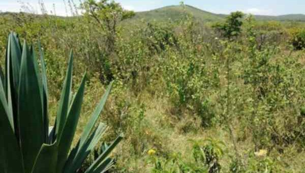 land for sale in gilgil nakuru w7rbl 1