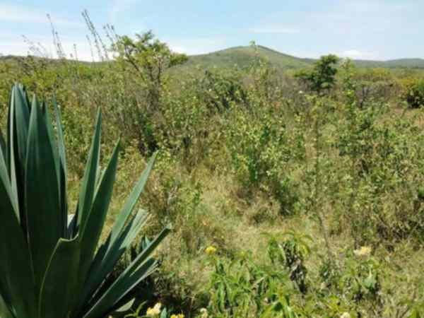 land for sale in gilgil nakuru w7rbl 1