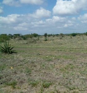 Land for Sale in Juja Town