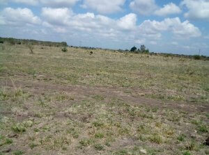 land for sale in juja farm mwireri ye9mi