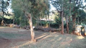 land for sale in kiroe limuru chunga mali area 4hf2v