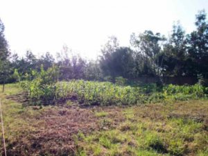 land for sale in kiserian j1rhr