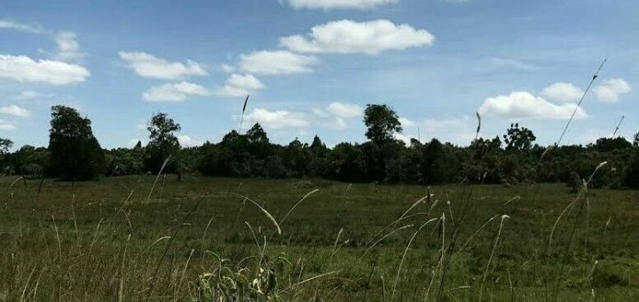 land for sale in leshau gwa kungu ecwrk