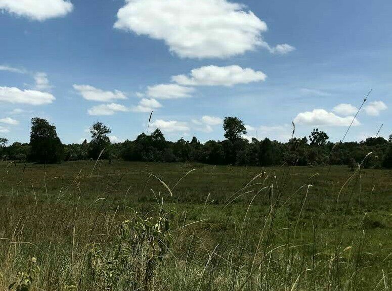 land for sale in leshau gwa kungu ecwrk