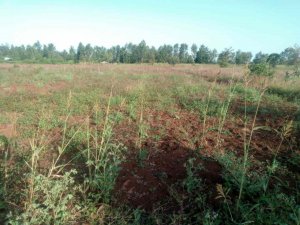 Land for Sale in Gwa Kung'u