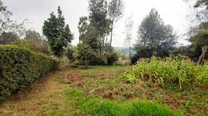 land for sale in limuru tysons limited 1 1