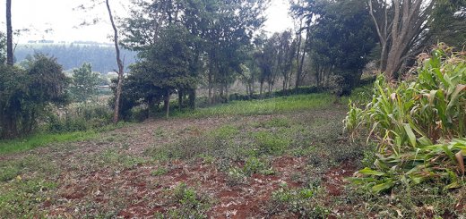 land for sale in limuru tysons limited 2 1