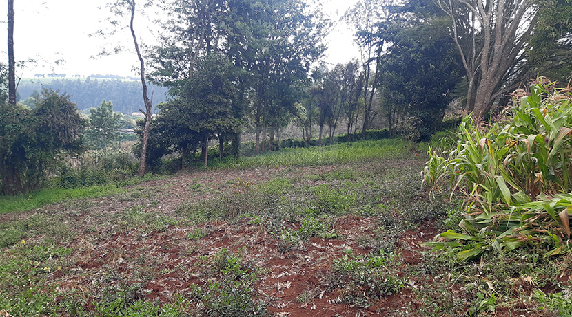 land for sale in limuru tysons limited 2 1